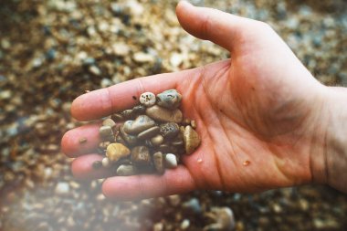 El deniz taşlarını tutar. Tatil kavramı.