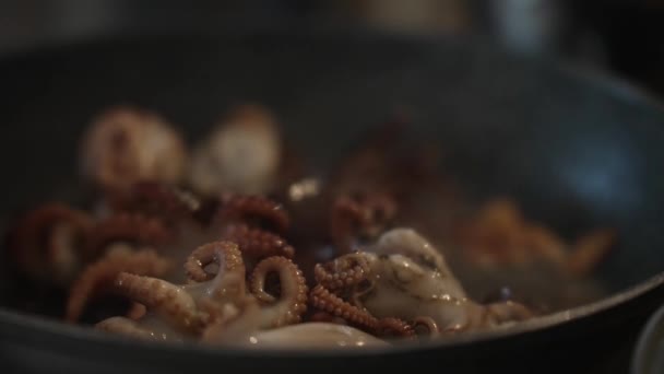 Kızartma Tavasında Küçük Ahtapotlar Pişirmek — Stok video