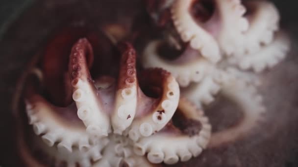 Koken Van Kleine Octopussen Koekenpan — Stockvideo