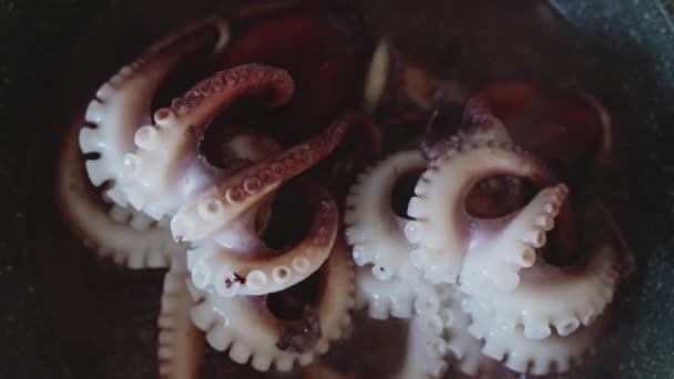 Cooking Small Octopuses Frying Pan — Stock Video