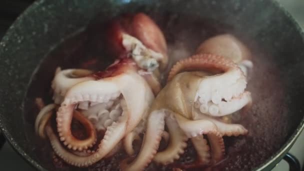 Koken Van Kleine Octopussen Koekenpan — Stockvideo