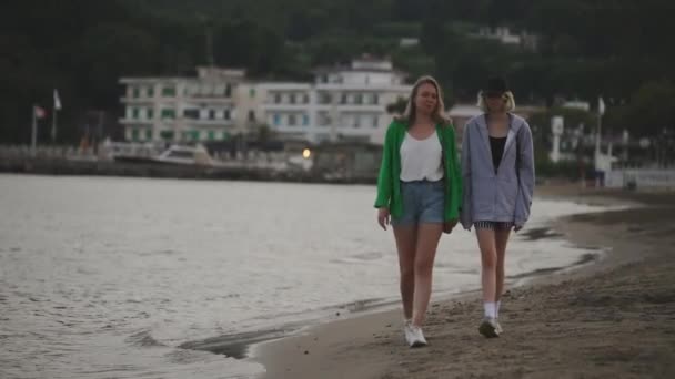 Family Walking Talking Beach — Stockvideo