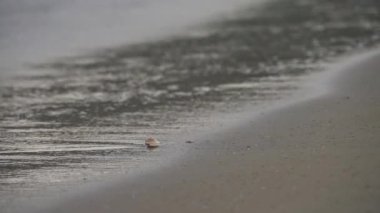 Mediterranean sea and fine sand beach.