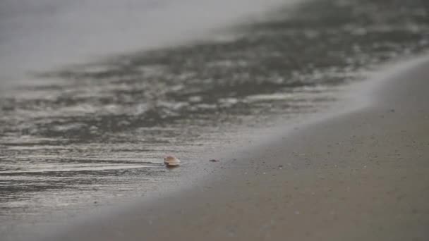 地中海と細かい砂のビーチ — ストック動画