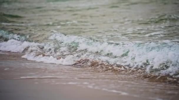 ビーチの熱帯の海の波 — ストック動画