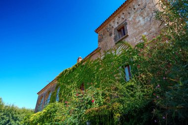 Beautiful medieval building surrounded by greenery.