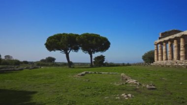 Temple of Athena in Paestum, Italy.