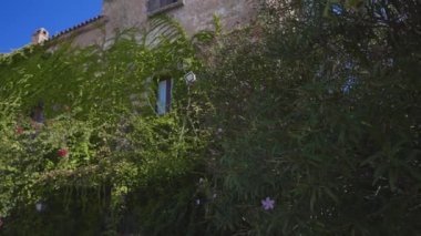 Beautiful medieval building surrounded by greenery.