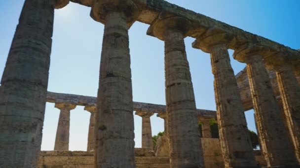 Храм Афины Пестуме Италия — стоковое видео