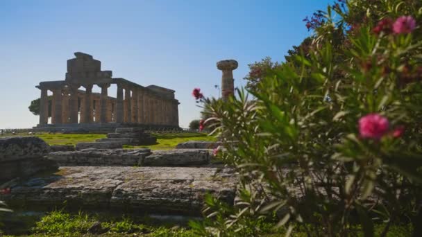 Świątynia Ateny Paestum Włochy — Wideo stockowe