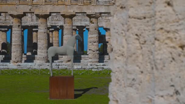 Horse Statue Second Temple Hera Paestum Italy — 图库视频影像