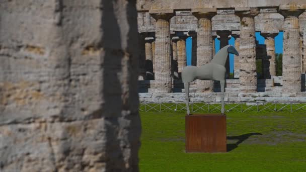 Horse Statue Second Temple Hera Paestum Italy — Stock video
