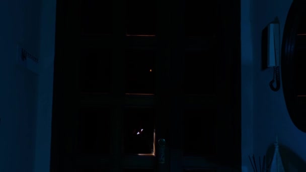 Thief Breaks House Front Door — Videoclip de stoc