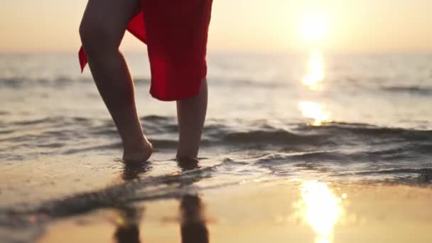 日没時に紅海に立つ女 — ストック動画