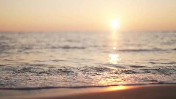 Sunset Sandy Beach Sea — Wideo stockowe