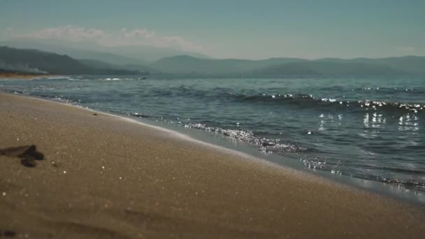 Spiaggia Nella Città Paestum Italia Luoghi Incontaminati — Video Stock