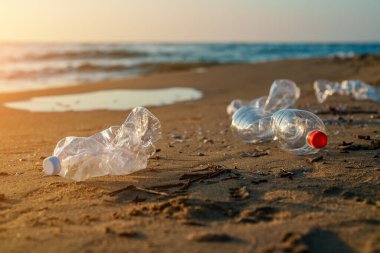 Plastik şişeler kumsalda. Çevre kirliliği.