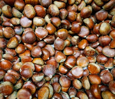 Süpermarkette meşe palamudu. Unutulmuş süper yiyecekler.