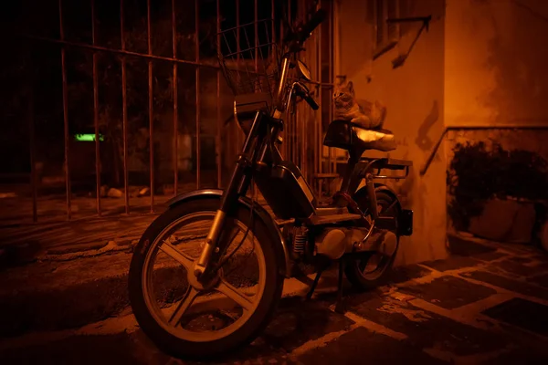 Gato Senta Uma Scooter Motor Noite — Fotografia de Stock