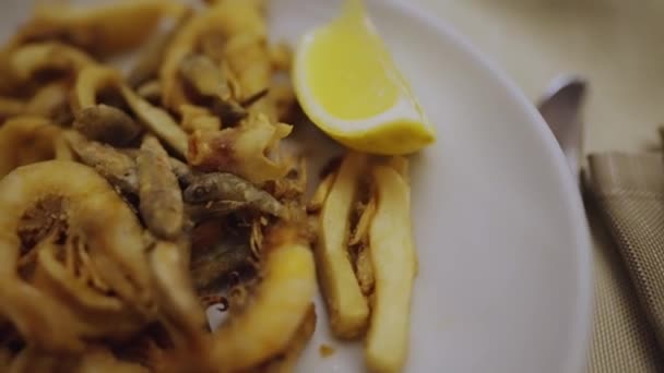 Mariscos Fritos Pescado Camarones — Vídeo de stock