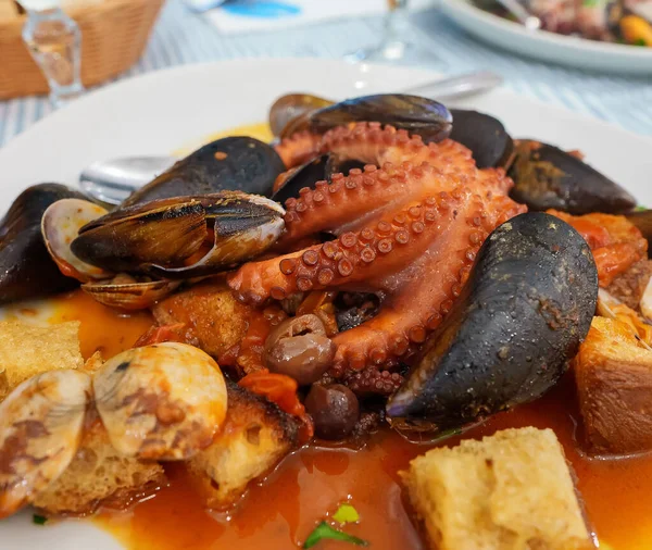 Direbus Dalam Saus Tomat Octopus Dengan Makanan Laut Dan Croutons — Stok Foto