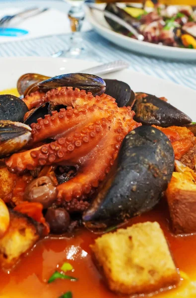 Guisado Molho Tomate Octopus Com Frutos Mar Croutons — Fotografia de Stock