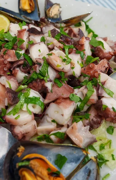 Traditional Salad Octopus Herbs — Φωτογραφία Αρχείου