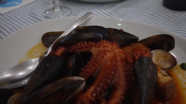 Direbus Dalam Saus Tomat Octopus Dengan Makanan Laut Dan Croutons — Stok Video