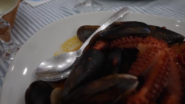 Tomatensauce Geschmorter Krake Mit Meeresfrüchten Und Croutons — Stockvideo
