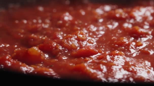 ピザ用のケチャップやトマトソースの製造 — ストック動画