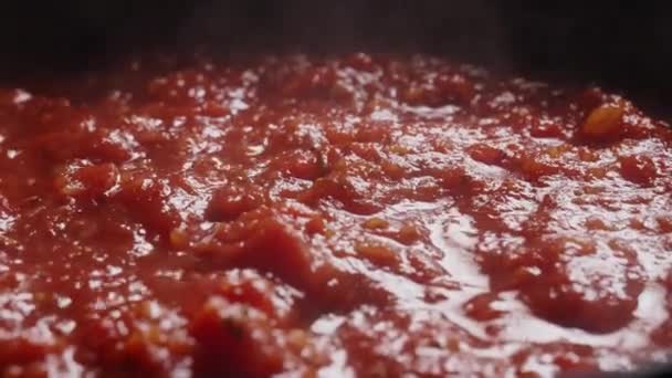 Preparazione Ketchup Salsa Pomodoro Pizza — Video Stock