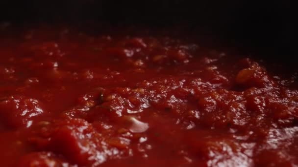 ピザ用のケチャップやトマトソースの製造 — ストック動画