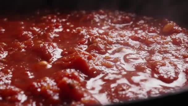 Preparazione Ketchup Salsa Pomodoro Pizza — Video Stock