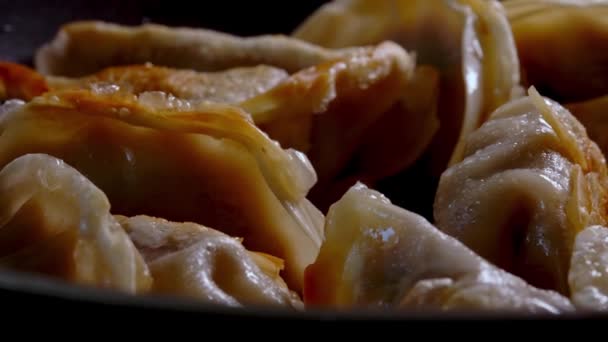Jiaozi Chinese Dumplings Meat Pan — Stock Video