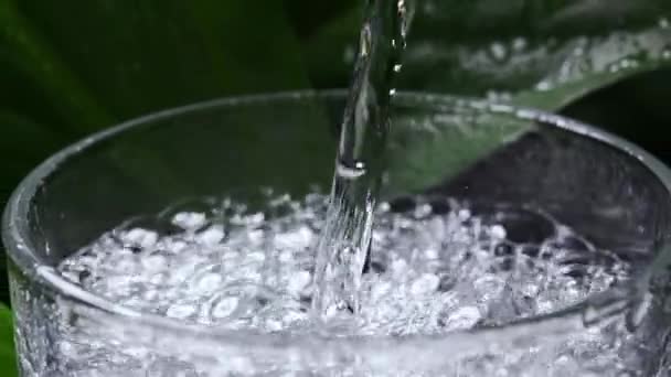 碳化矿泉水倒入杯子中 — 图库视频影像