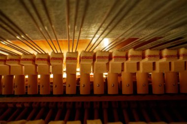 Piyanonun içinde. Dik piyanonun içindeki teller.