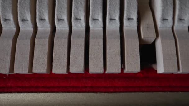 Piano Close View Hammers Strings Upright Piano — Stock Video