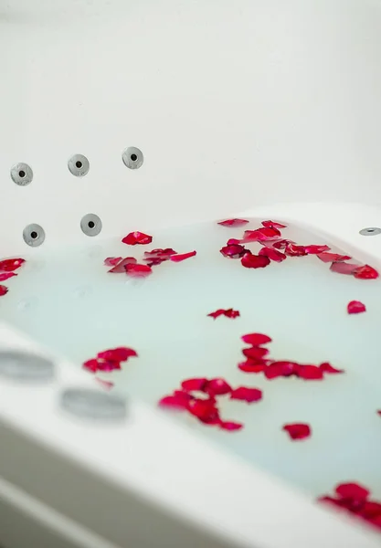 Pétalas Vermelhas Rosa Flutuando Banheira Com Leite — Fotografia de Stock