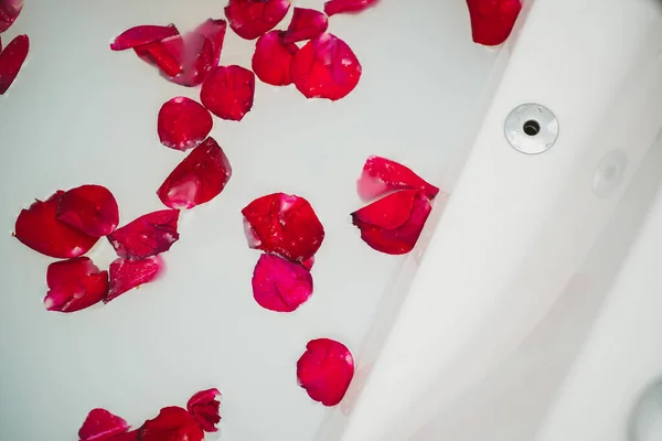 우유가 욕조에 장미꽃 — 스톡 사진