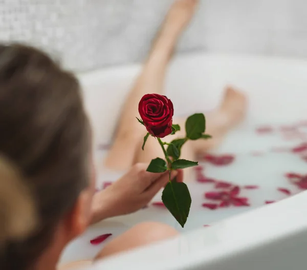 장미꽃 잎으로 목욕을 — 스톡 사진