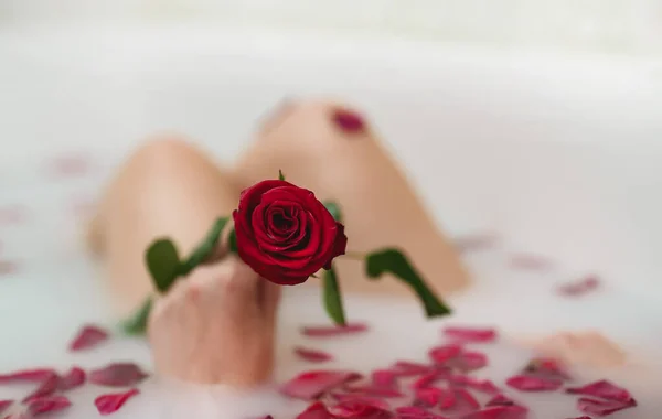 장미꽃 잎으로 목욕을 — 스톡 사진