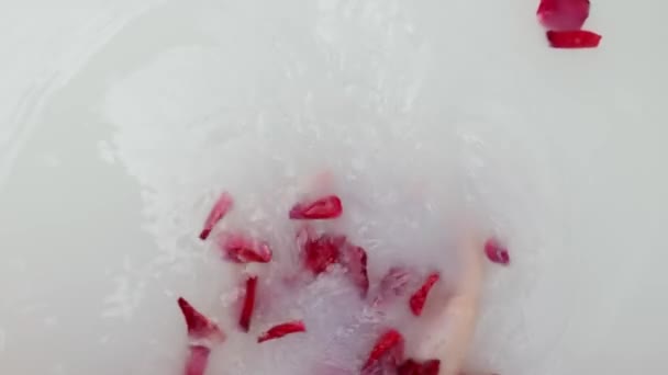 Жіночі Руки Тримають Пелюстки Троянд Молочній Ванні — стокове відео