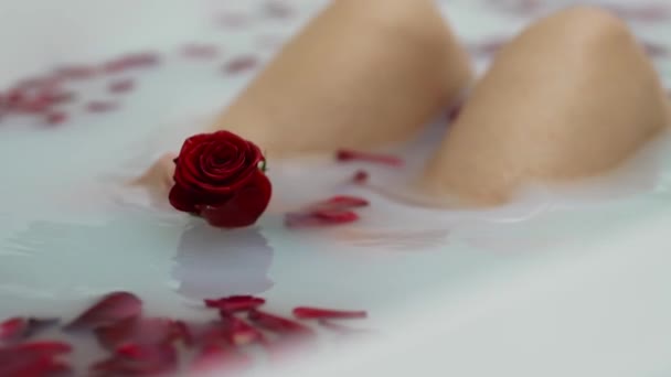 Kobieta Ręce Gospodarstwa Czerwona Róża Wannie Mlekiem — Wideo stockowe