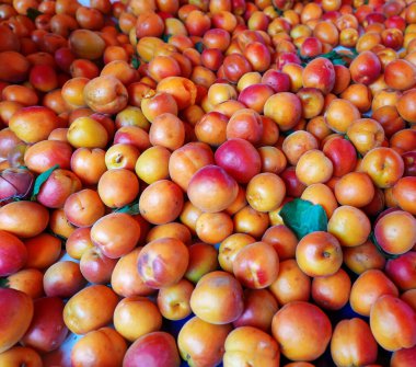 Şehir pazarında bir sürü çevre dostu kayısı var..