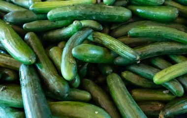 Şehir pazarında bir sürü salatalık yetişiyor..