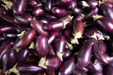 Şehir pazarında bir sürü eko patlıcan yetişiyor..