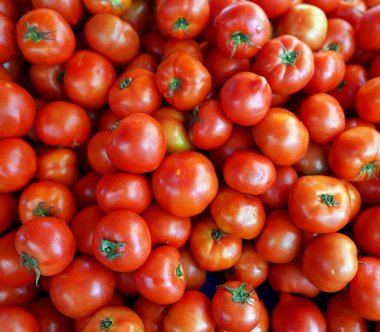 Şehir pazarında bir sürü organik yetiştirilmiş domates var..