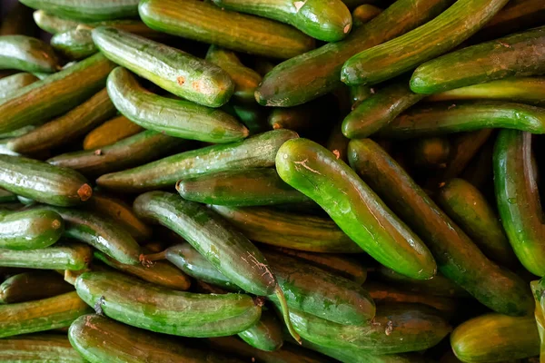 Şehir Pazarında Bir Sürü Salatalık Yetişiyor — Stok fotoğraf