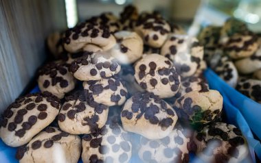 Çikolata parçalı kurabiyeler vitrinde sergileniyor.