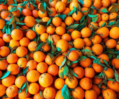 Şehir pazarında bir sürü çevre dostu portakal var..